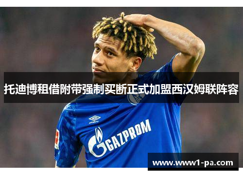 托迪博租借附带强制买断正式加盟西汉姆联阵容