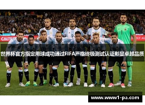 世界杯官方指定用球成功通过FIFA严格终极测试认证彰显卓越品质